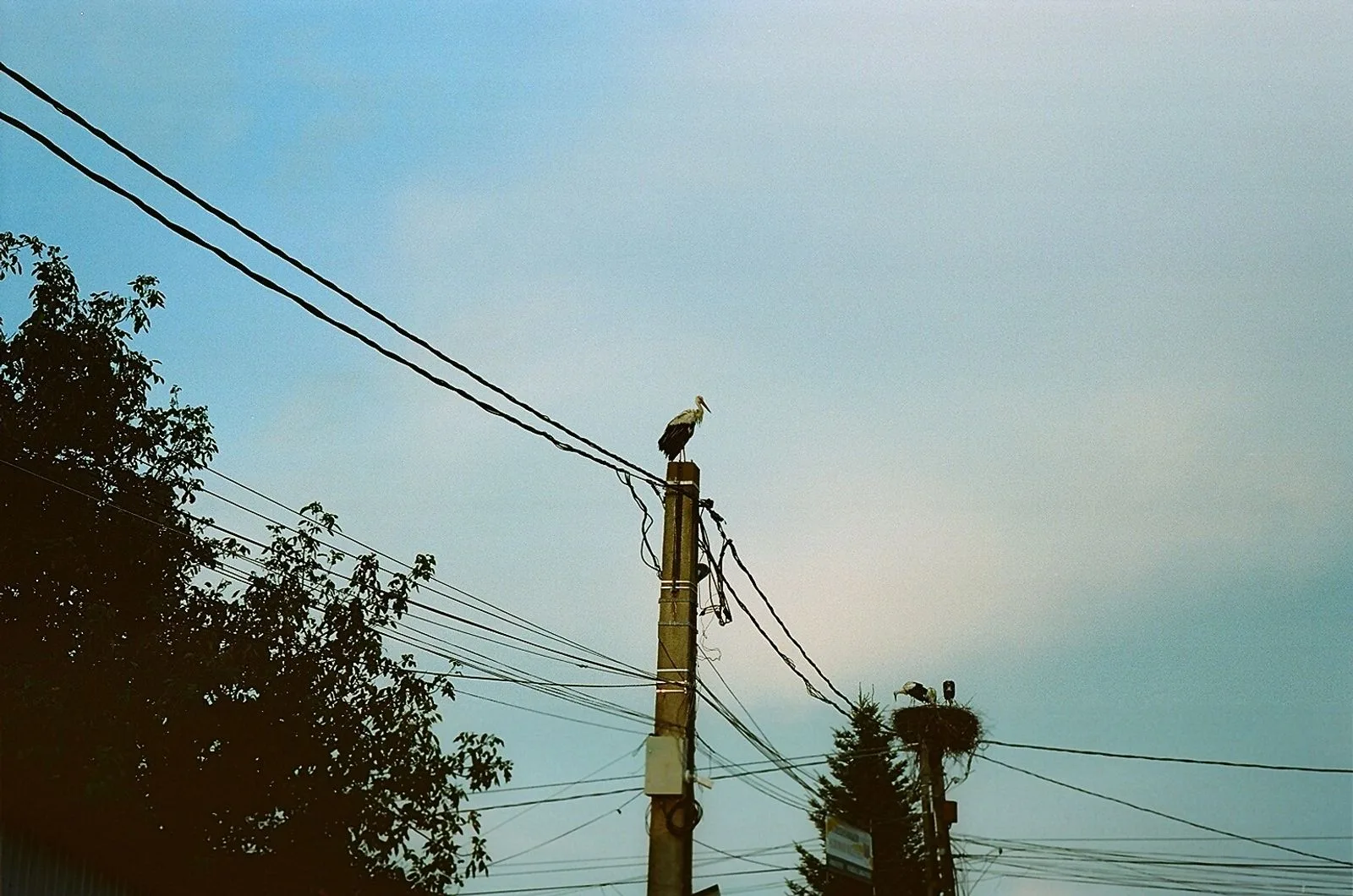 Alone — Romania series.